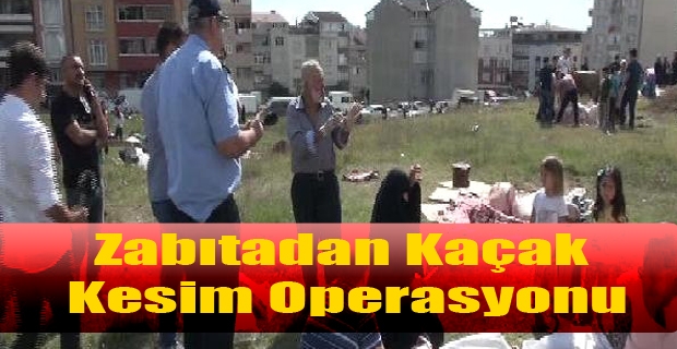 Zabıtadan Kaçak Kesim Operasyonu