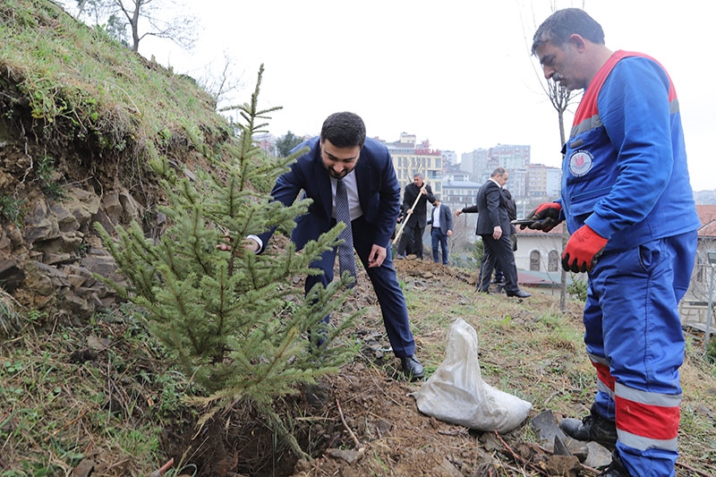 HER BEBEK BİR AĞAÇLA BÜYÜYOR: KÂĞITHANE'DE YEŞİL GELECEK