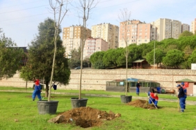 061125_agaclandirma_ic.jpg