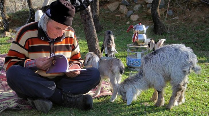 63 yaşındaki ‘Üniversiteli çoban’ın okuma azmi