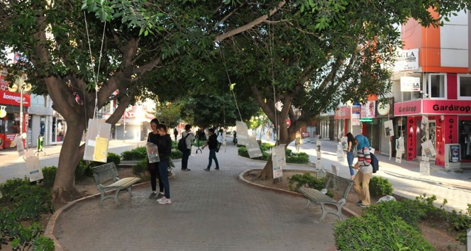 Ağaçlar kitap açtı