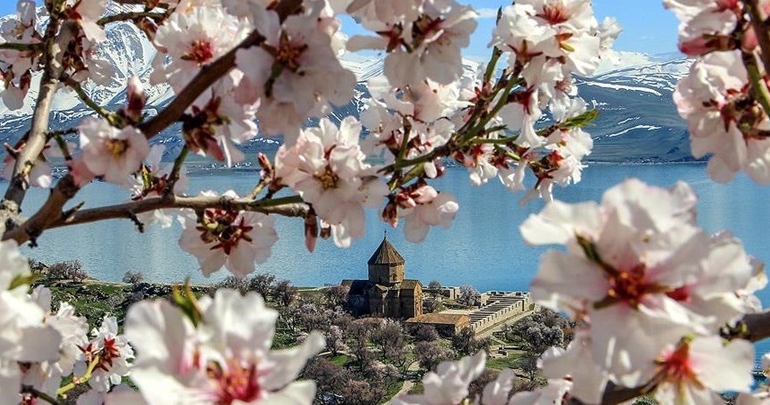 Akdamar Adası çiçeklere büründü