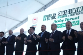 arnavutkoy-belediyesi-istanbul-un-en-buyuk-hayvan-barinagini-hizmete-acti.jpg