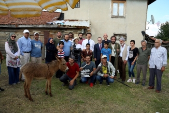 “Bir Düş Gördüm” Sinema Filmi Brezilya’Da Yarışacak