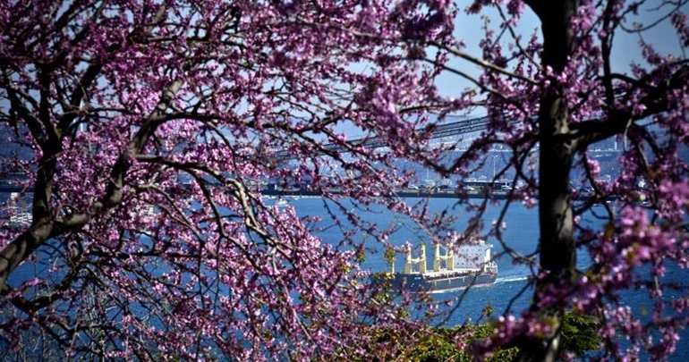 ‘Erguvan İstanbul’un sembolü olabilir’