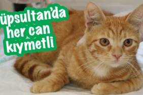 eyupsultan-da-her-can-kiymetli.jpg