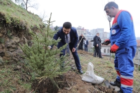 her-bebek-bir-agacla-buyuyor-k-githane-de-yesil-gelecek.jpg