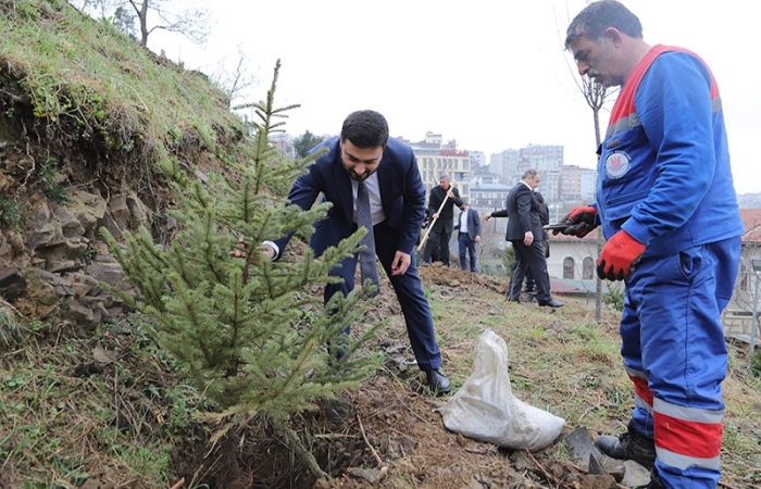 her-bebek-bir-agacla-buyuyor-k-githane-de-yesil-gelecek.jpg