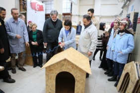 her-hayvana-bir-kulube.jpg