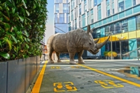 rhinos-bac-in-town-sergisi-atasehir-de.jpg