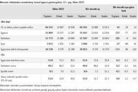 screenshot-2025-11-28-at-11-30-55-tuik-kurumsal-1764318666-660-x750.png