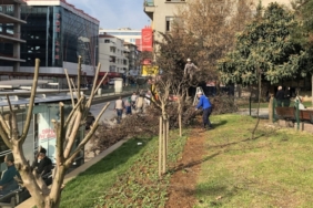 sultangazi-belediyesi-nden-yesil-alanlara-bakim.jpg