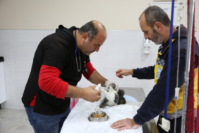 18341-eyupsultanda-kasim-ayinda-patili-dostlar-icin-20251215-112418-eyupsultan-haberler_500x294.jpg
