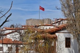 7af3e2cb58.jpg