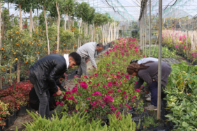 buyuksehir-den-yerel-kalkinmaya-guclu-katki-5-1766485760-29-x750.jpeg