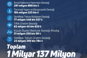 g7yttzrwsaalpnz-1764918445-79-x750.jpeg