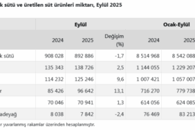 screenshot-2025-11-13-at-11-06-02-tuik-kurumsal-1763021174-958-x750.png