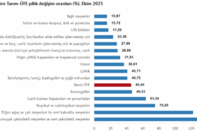 screenshot-2025-11-17-at-10-54-55-tuik-kurumsal-1763366112-313-x750.png