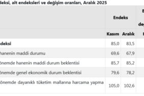 screenshot-2025-12-19-at-10-02-04-tuik-kurumsal-1766127734-91-x750.png