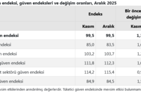 screenshot-2025-12-30-at-11-03-53-tuik-kurumsal-1767081842-378-x750.png