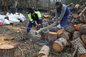 18380-firtinada-devrilen-agaclar-ihtiyac-sahiplerin-20260115-090843-eyupsultan-haberler_500x294.jpeg