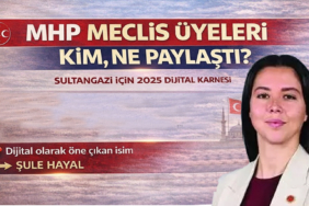 mhp