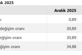 screenshot-2026-01-05-at-10-08-44-tuik-kurumsal-1767596943-297-x750.png