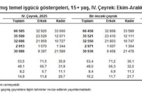 screenshot-2026-02-18-at-11-13-54-isgucu-istatistikleri-iv-ceyrek-ekim-aralik-2025-1771402465-967-x7.png