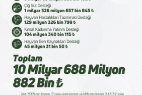 hdrvnz2wmaato10-1773400294-141-x750.jpeg
