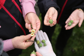 010a2102-1776671250-47-x750.jpeg
