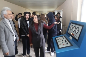 81a3384f70.jpeg
