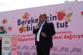 c441cd62a2.jpg
