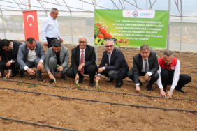 tarlalar-bereketleniyor-kocaeli-ciftcisi-kazaniyor-1-1778825368-593-x750.jpeg