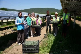 20260617-samsunda-enerji-ve-tarimi-bulusturan-ornek-proje-hayata-gecti-578645.webp.webp