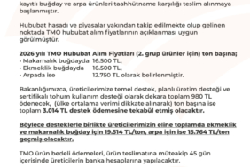 hjwik-mw0aek-sn-1780382302-412-x750.jpeg
