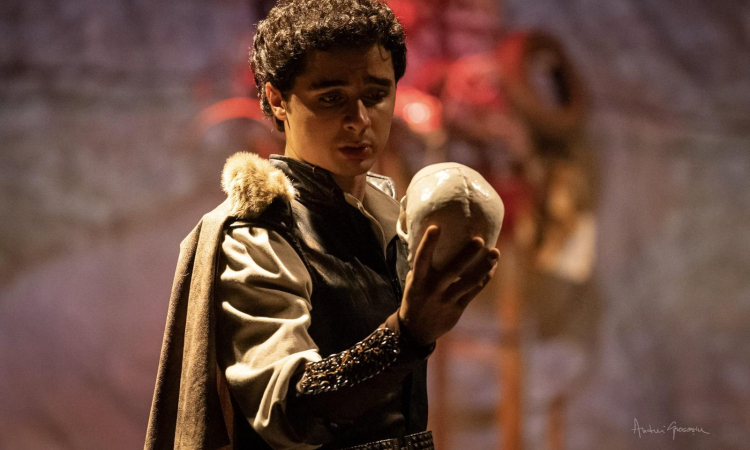 mltp-hamlet-1-1781599517-338-x750.jpeg