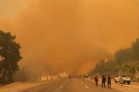20260729-seydikemerde-orman-yangini-buyuyor-evler-tahliye-edildi-yol-kapandi-581354.webp.webp