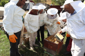 baskan-guler-den-aricilara-varroa-ilaci-destegi-mujdesi-49170-3287-1787555730-558-x750.jpeg