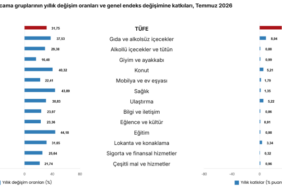 screenshot-2026-08-03-at-10-05-34-tuketici-fiyat-endeksi-temmuz-2026-veri-portali-tuik-1785740742-55.png
