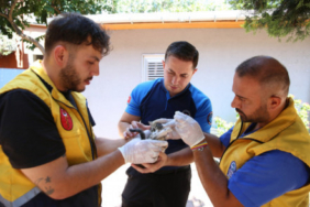 18744-eyupsultanda-agustos-ayinda-can-dostlara-kaps-20260907-141712-eyupsultan-haberler_500x294.jpeg