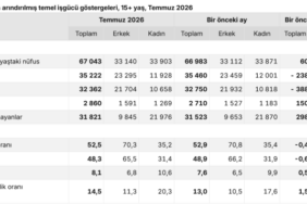 screenshot-2026-08-31-at-12-13-13-isgucu-istatistikleri-temmuz-2026-veri-portali-tuik-1788167601-285.png