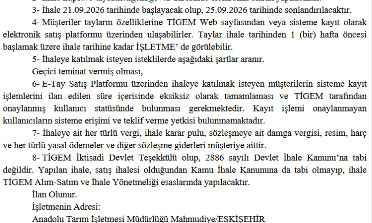17 Safkan Arap Koşu Tayı Elektronik İhaleyle Satışa Çıkıyor